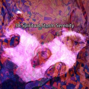 Download track State Of Storm Rain For Deep Sleep