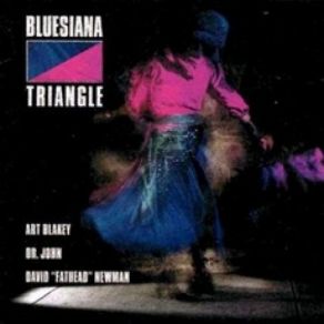 Download track Shoo Fly Don't Bother Me Bluesiana Triangle