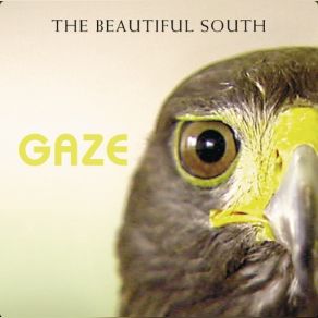 Download track The Gates Beautiful South, The