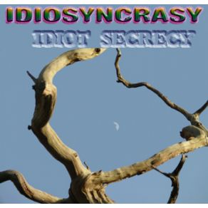 Download track When The Guide Died Idiosyncrasy