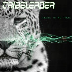 Download track Rude (Instrumental) TribeleaderΟΡΓΑΝΙΚΟ