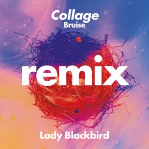 Download track Collage (Bruise Remix) Lady Blackbird