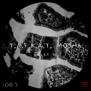 Download track Violet 70 T. A. F. K. A. TMosha