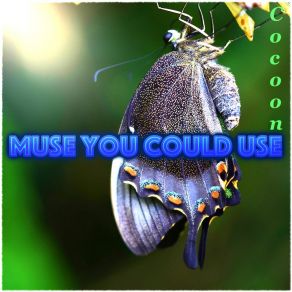 Download track Serwus Madonna Muse You Could Use