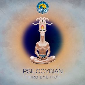 Download track Third Eye Itch Psilocybian