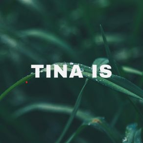 Download track Mungkin Ada Yang Baru Tina IS