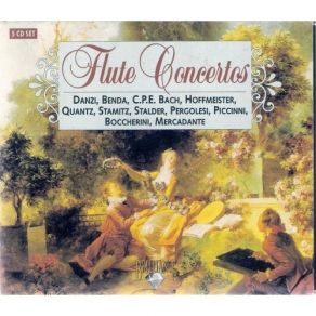 Download track Concerto No. 2 In D Minor, Op. 31: II. Larghetto Non Troppo Franz Danzi