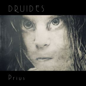 Download track Lotos Druides