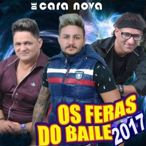 Download track É Verão Os Feras Do Baile