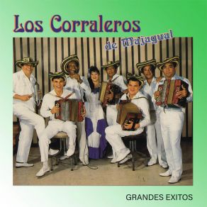 Download track Los Sabanales Los Corraleros De Majagual