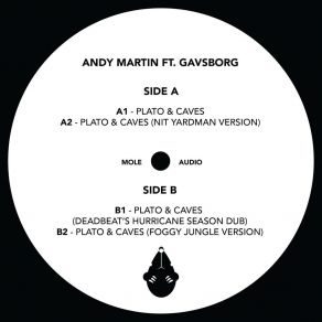 Download track Plato & Caves (Foogy Jungle Version) Gavsborg