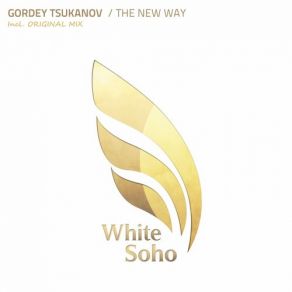 Download track The New Way (Original Mix) Gordey Tsukanov