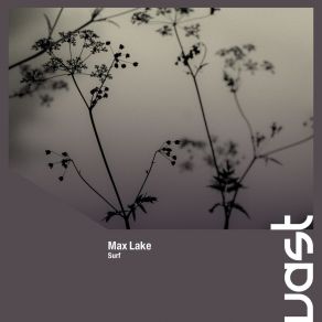 Download track Surf (Radio Edit) Max Lake