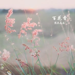 Download track 百花香 (抖音热播榜) 精彩辰浩