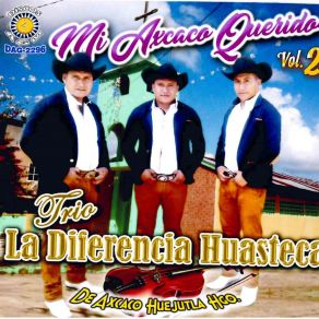 Download track Senor De Los Cielos Trio La Diferencia Huasteca