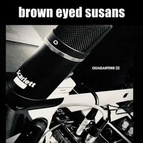 Download track Twenty Years Brown Eyed Susans