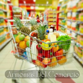 Download track Armonías Del Comercio Alfredo Meditación