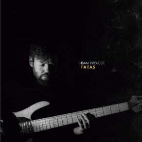 Download track Tatas QAM Project