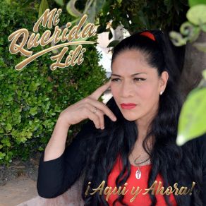 Download track Fuiste Todo Y Nada Mi Querida Lili