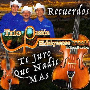 Download track Te Quiero Asi Trio Pasion Hidalguense