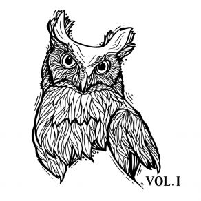 Download track White Owl White Owl