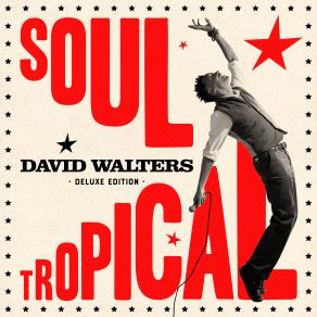 Download track Soul Tropical David Walters