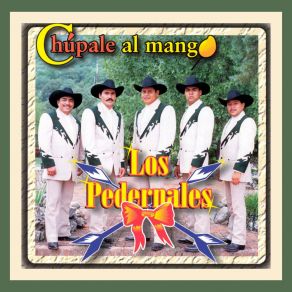 Download track La Culebra Los Pedernales