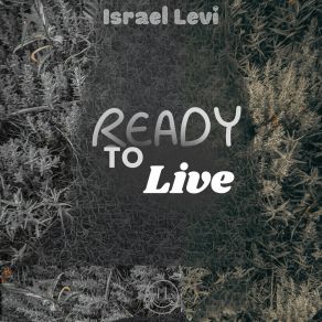 Download track Teen Life Israel Levi