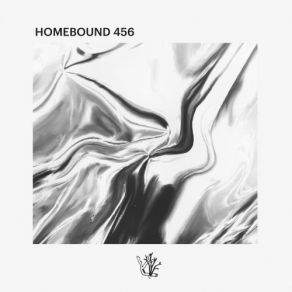 Download track Homebound 456 Vaarwell