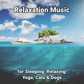 Download track Relaxation Music, Pt. 3 Relaxing Spa Music