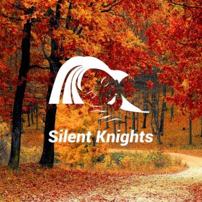 Download track Fall Asleep Sshh Music The Silent KnightsDylan Barnes, Rob Davy, Mark Dowling