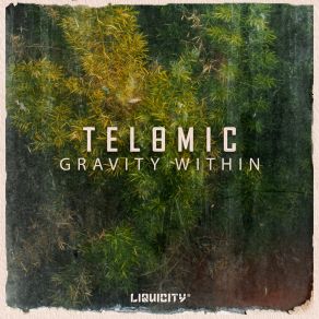 Download track Gravity Within (Instrumental) Beloved In LoveΟΡΓΑΝΙΚΟ