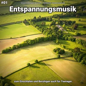 Download track Entspannungsmusik Pt. 40 Entspannungsmusik