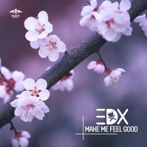 Download track Make Me Feel Good (Original Mix) EDX