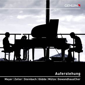 Download track Todtenfeier. Allegro Maestoso. Mit Durchaus Ernstem Und Feierlichem Ausdruck Gregor Meyer