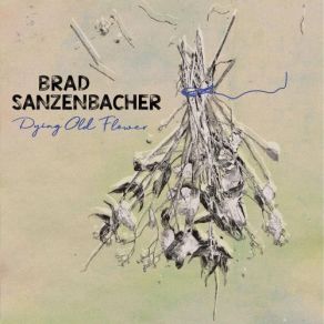 Download track Let's Go Write Waltzes Brad Sanzenbacher