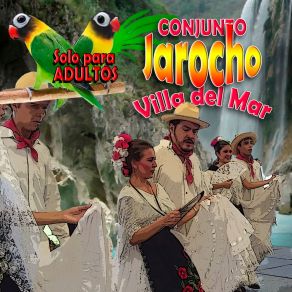 Download track La Viuda Se Lo Acabo Conjunto Jarocho