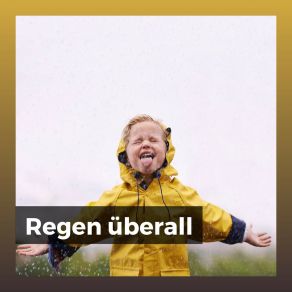 Download track Regen An Sommertagen Schlafregengeräusche