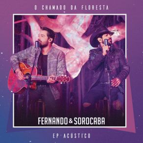 Download track Casal Perfeito Fernando & Sorocaba