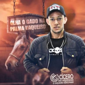 Download track Continuo Lutando Cicero Das Vaquejadas O Vaqueiro Sergipano