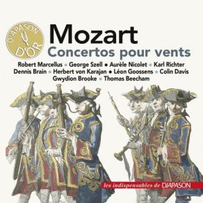 Download track Flute Concerto No. 1 In G Major, K. 313 285c III. Rondo (Tempo Di Menuetto) Wolfgang Amadeus Mozart