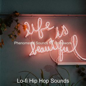 Download track Terrific Ambiance For Sleeping Lo-Fi Hip Hop Sounds