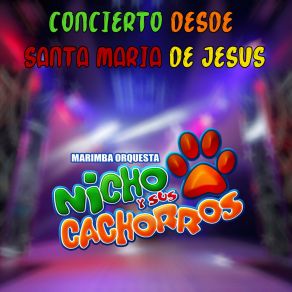 Download track El Color De Tus Ojos / Oye Mujer Marimba Orquesta Nicho