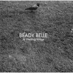 Download track Birdґs Eye View Beady Belle