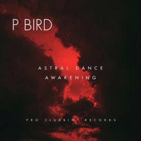 Download track Awakening P Bird