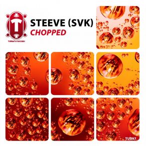 Download track Chopped Steeve (SVK)