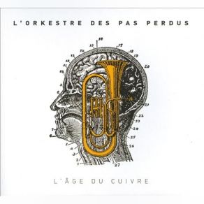 Download track Fidиle Castor L'Orkestre Des Pas Perdus