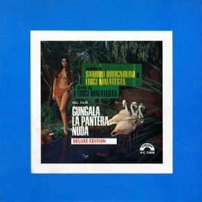 Download track Gungala Nido (Bossa Nova) Bixio Franco, Sandro Brugnolini, Luigi MalatestaBossa Nova