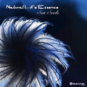 Download track Sun Seeds (Warm Train) Natural Life Essence