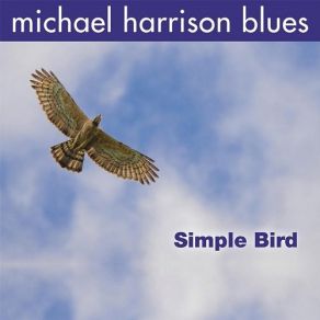 Download track Intro To The Blues Michael Harrison Blues